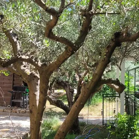 Atrium In Apartamento Portoroz