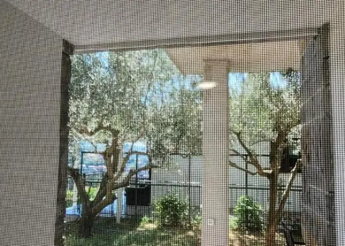 Atrium In * 波尔托罗