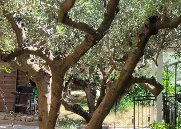 Atrium In 公寓 波尔托罗